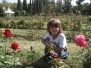 Blumiges und Blühendes mit uns 