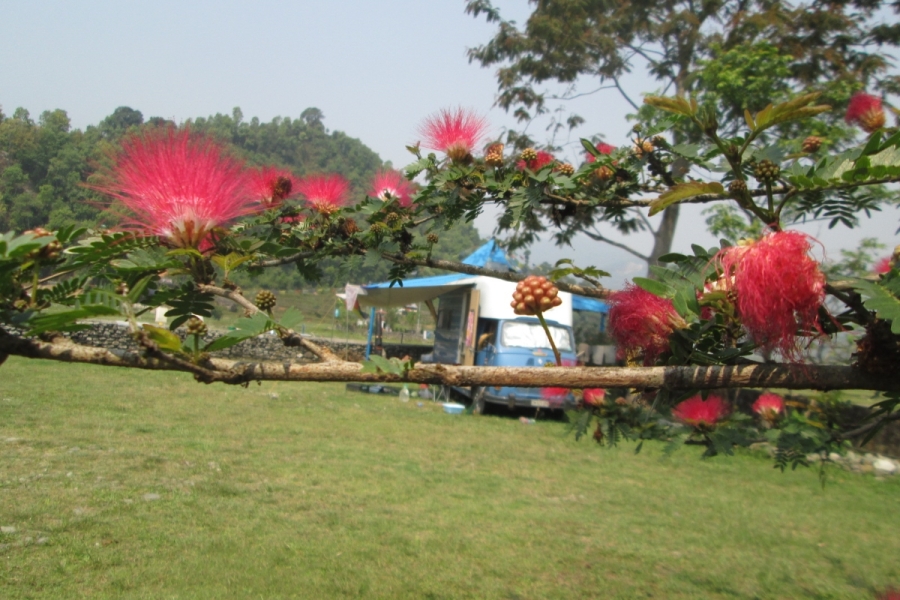 camping-pame