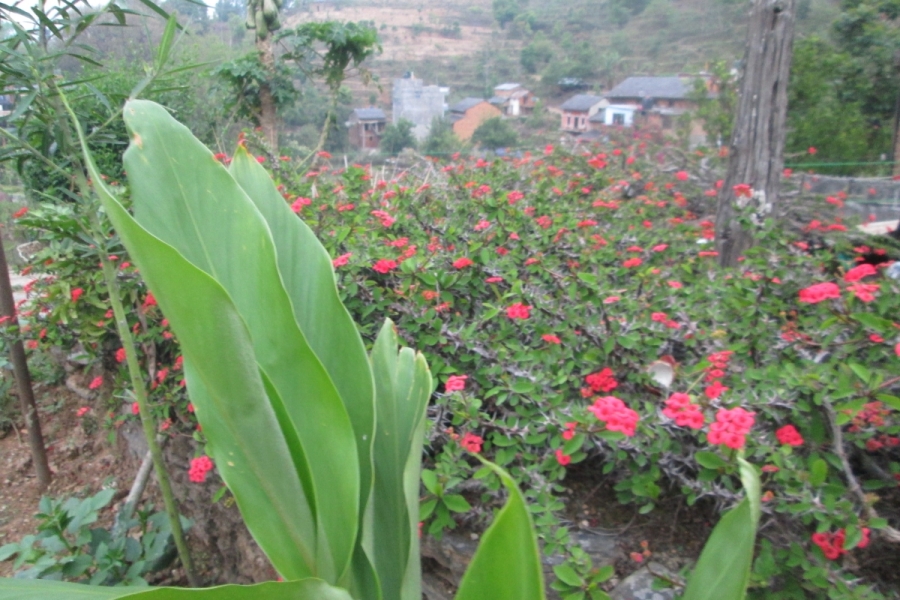 christusdorn-in-bandipur-nepal