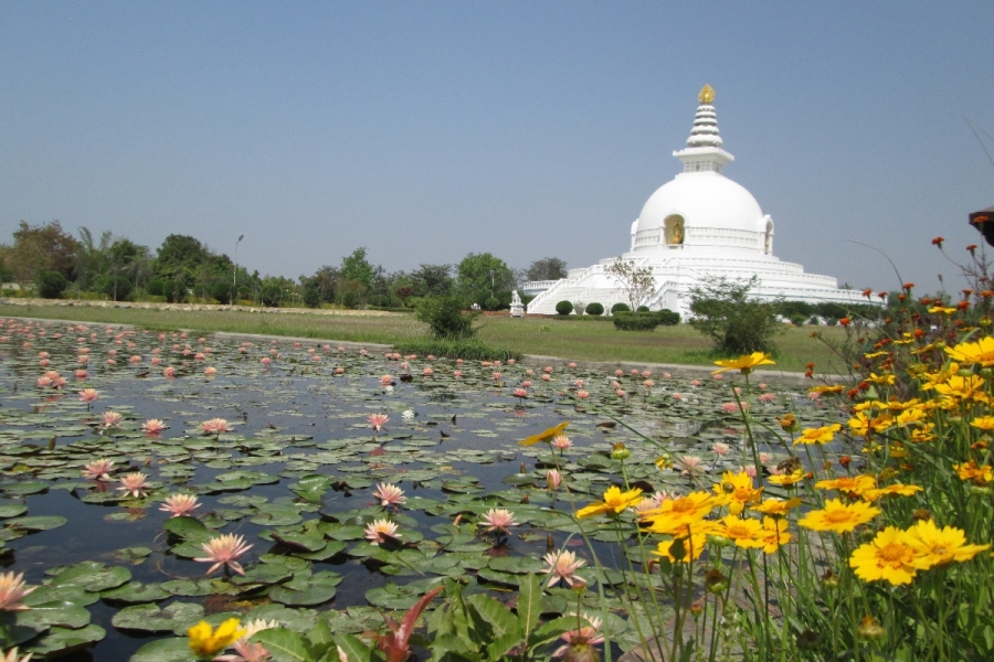 friedenspagode-in-lumbini-nepal