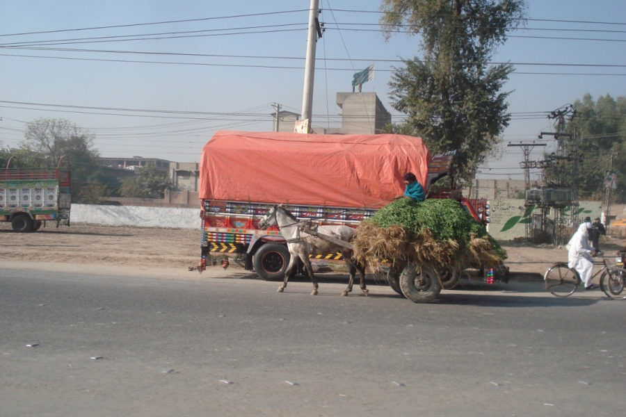 dsc09900