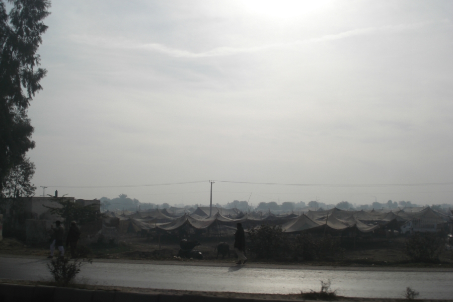 dsc09054