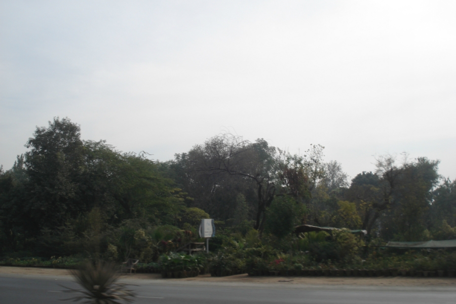 dsc09078