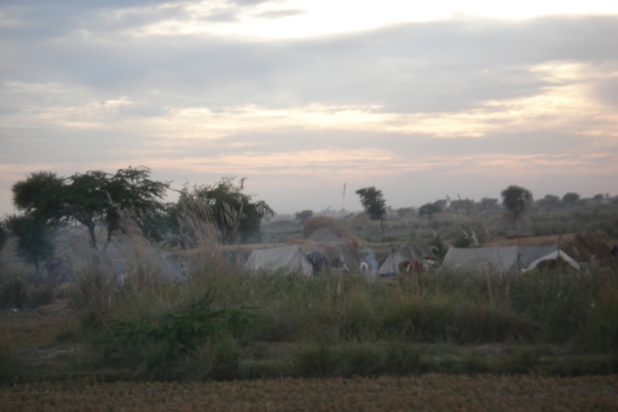 dsc08646