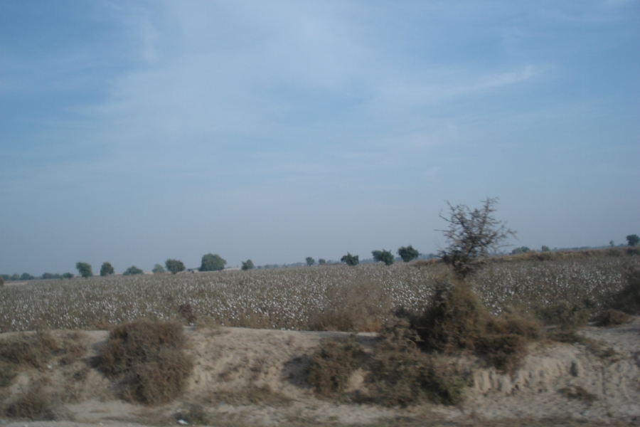 dsc08996